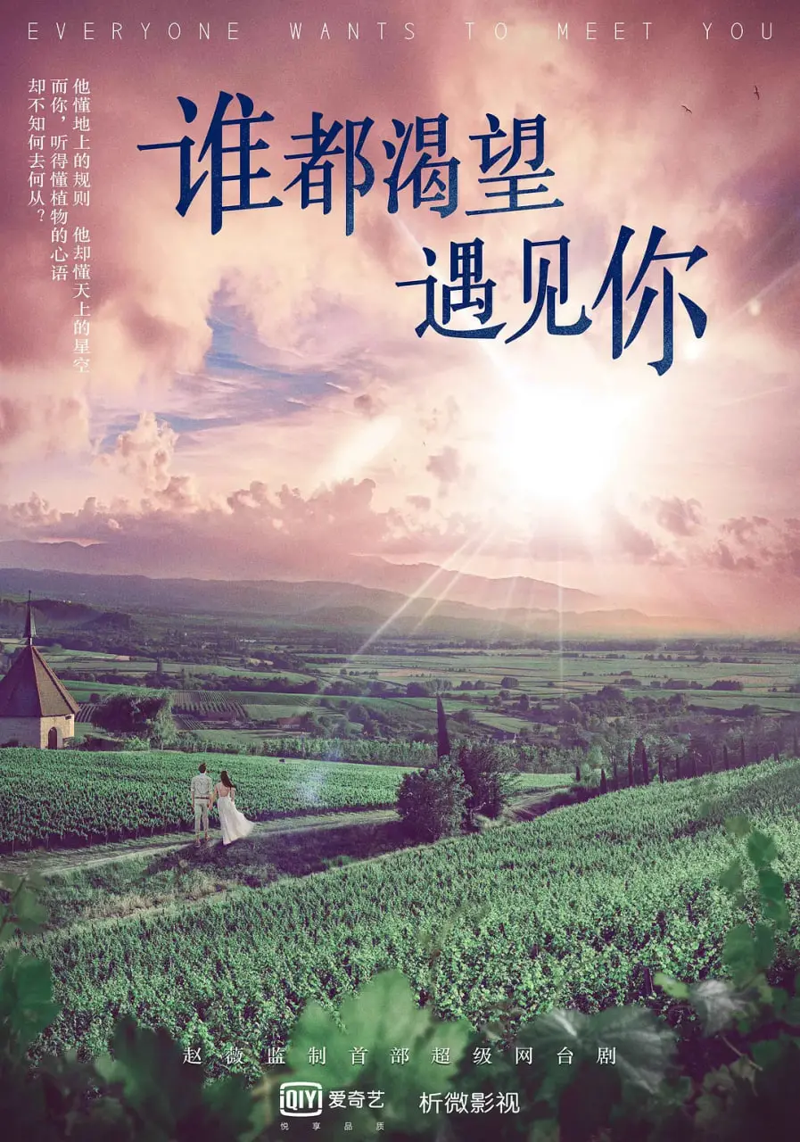 《谁都渴望遇见你》：一场治愈系的浪漫邂逅，都市丛林里的清新童话